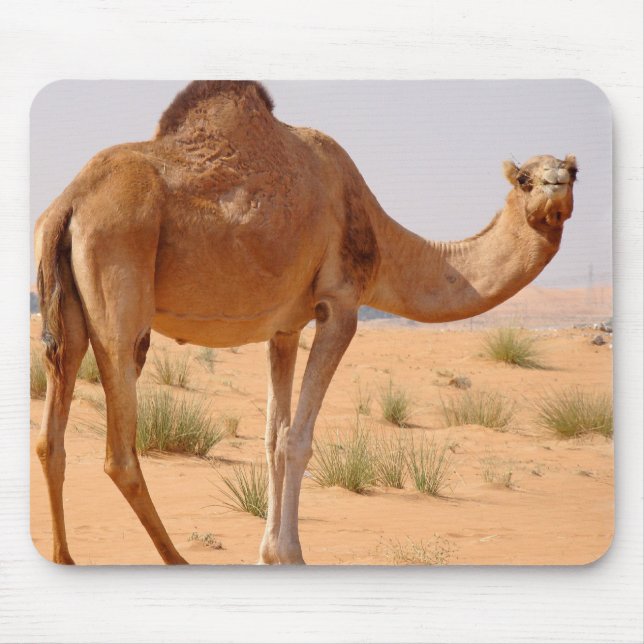 Camel for Arabs Mouse Pad (Front)