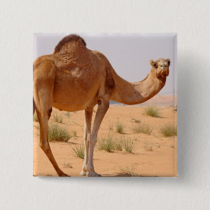 Camel for Arabs Square Pin