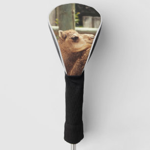 Camel Golf Head Cover