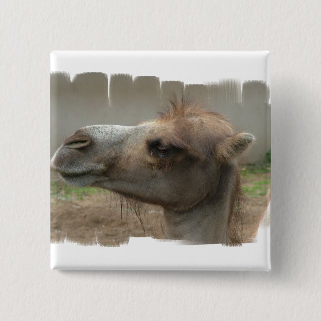 Camel Head  Button (Front)