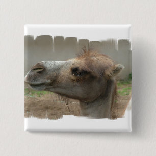 Camel Head  Button