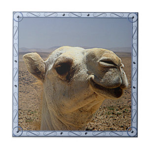 Camel Head Tile
