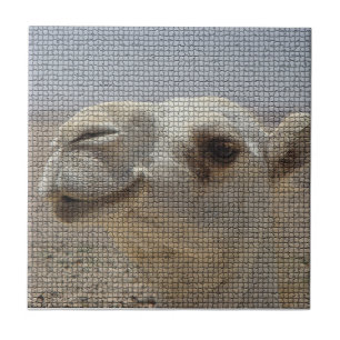 Camel Head Tile