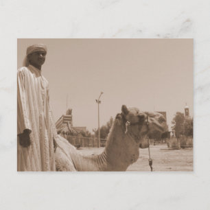 Camel herder postcard