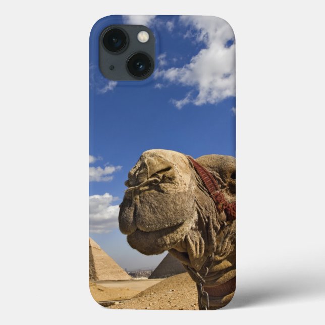 Camel in front of the pyramids of Giza, Egypt, Case-Mate iPhone Case (Back)