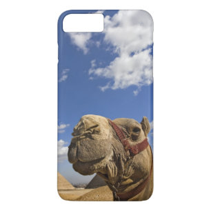 Camel in front of the pyramids of Giza, Egypt, iPhone 8 Plus/7 Plus Case