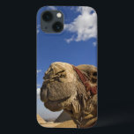 Camel in front of the pyramids of Giza, Egypt, iPhone 13 Case<br><div class="desc">COPYRIGHT Adam Jones / DanitaDelimont.com | AF14 AJE0236.jpg | Camel in front of the pyramids of Giza,  Egypt,  Cheops,  Khafre or Chephren,  and Menkaure or Mycerinus.</div>