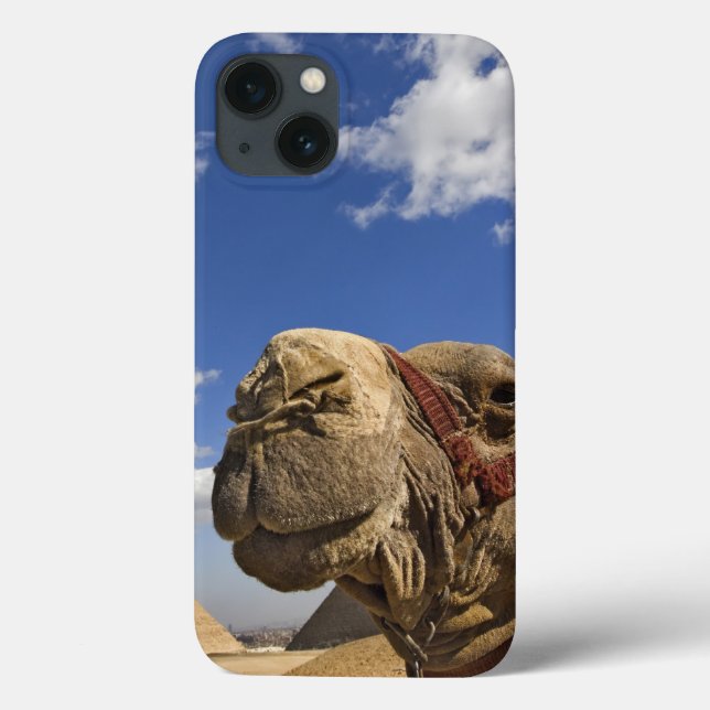 Camel in front of the pyramids of Giza, Egypt, Case-Mate iPhone Case (Back)