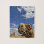 Camel in front of the pyramids of Giza, Egypt, Jigsaw Puzzle<br><div class="desc">COPYRIGHT Adam Jones / DanitaDelimont.com | AF14 AJE0236.jpg | Camel in front of the pyramids of Giza,  Egypt,  Cheops,  Khafre or Chephren,  and Menkaure or Mycerinus.</div>