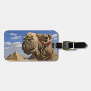 Camel in front of the pyramids of Giza, Egypt, Luggage Tag