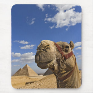 Camel in front of the pyramids of Giza, Egypt, Mouse Mat
