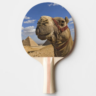 Camel in front of the pyramids of Giza, Egypt, Ping Pong Paddle