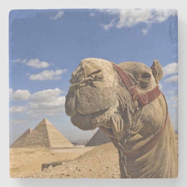 Camel in front of the pyramids of Giza, Egypt, Stone Coaster (Front)