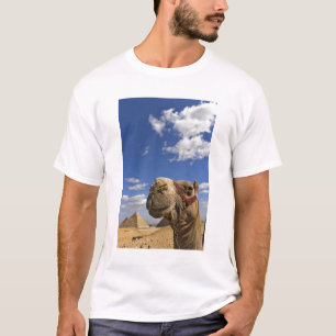 Camel in front of the pyramids of Giza, Egypt, T-Shirt