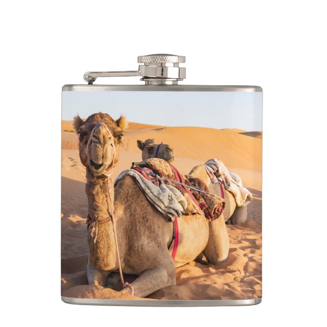 Camel in Oman desert Hip Flask (Front)