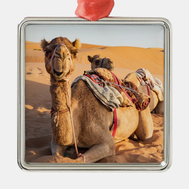 Camel in Oman desert Metal Tree Decoration (Front)