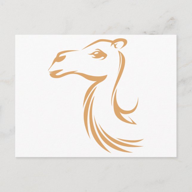 Camel in Swish Drawing Style Postcard (Front)