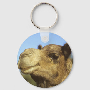 Camel Key Ring