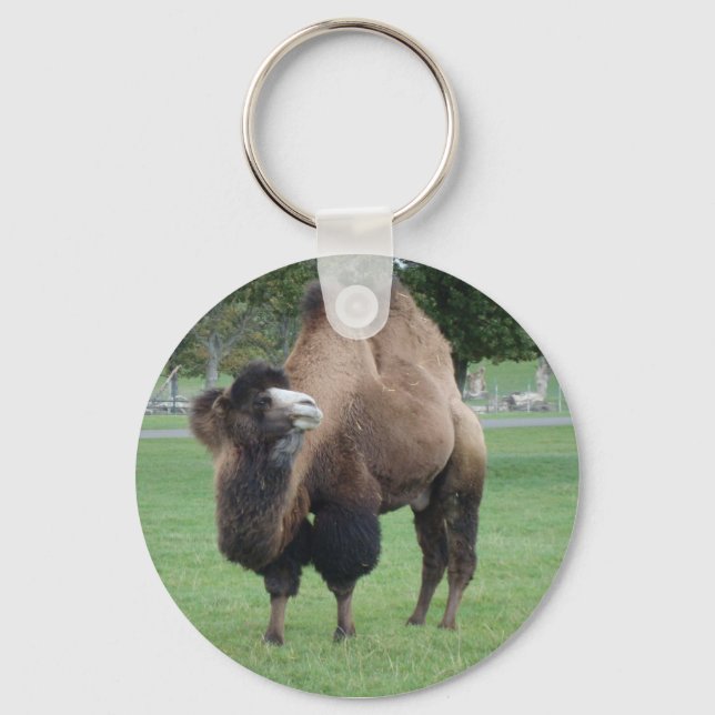 camel key ring (Front)