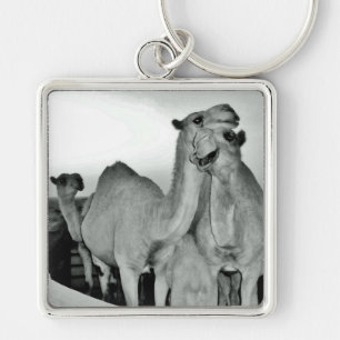 Camel Love Key Ring