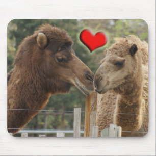 Camel LOVE - NO BOUNDARIES Mouse Mat