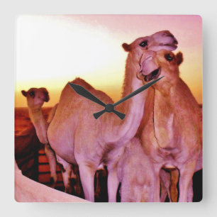 Camel Love Square Wall Clock