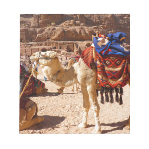 Camel Middle East Nature Animals Destiny Gifts Notepad