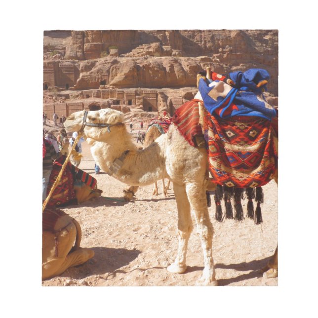 Camel Middle East Nature Animals Destiny Gifts Notepad (Front)