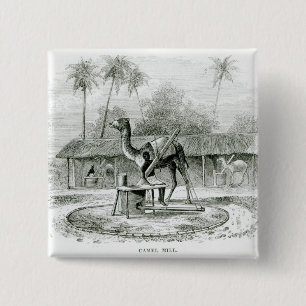 Camel Mill, from 'Travels in Africa' 15 Cm Square Badge