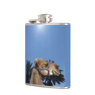 Camel on a flask