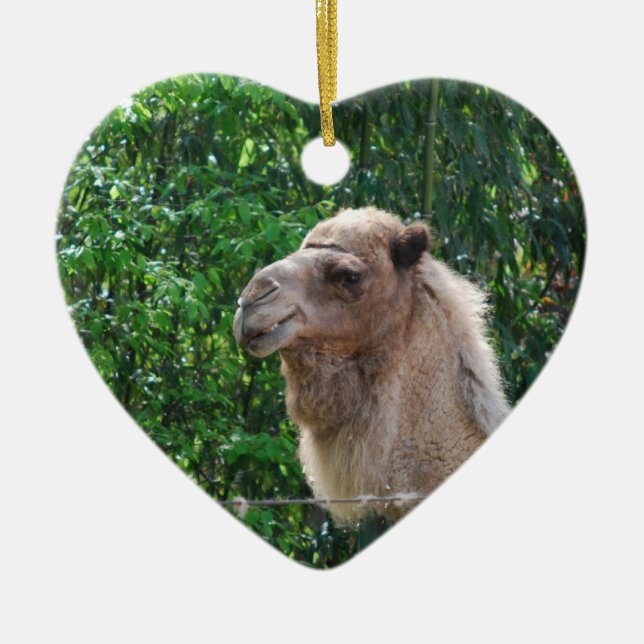 Camel Photo Design Ornament (Front)