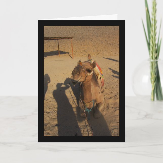 Camel Photoshoot Card (Front)
