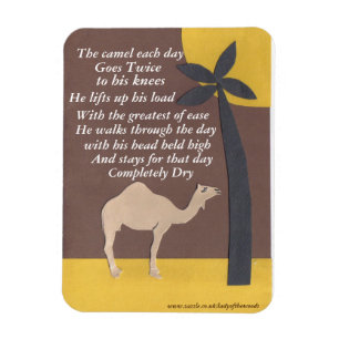 Camel poem magnet