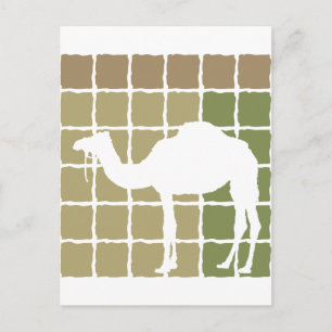 Camel Postcard