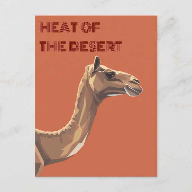 Camel Postcard (Front)