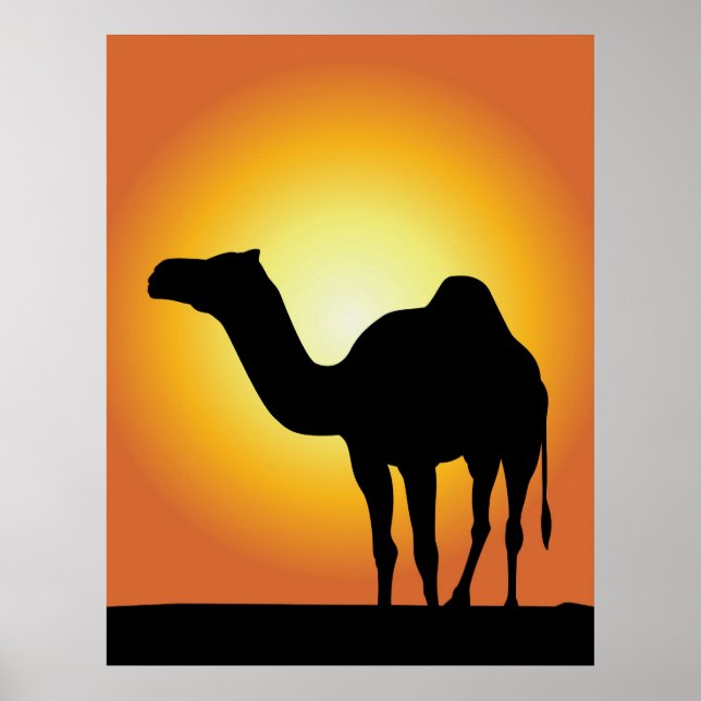 Camel Poster (Front)