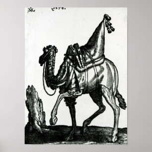 Camel Poster