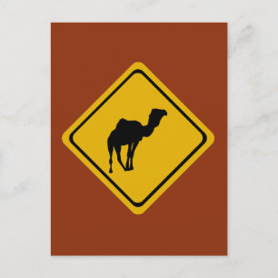 camel road sign postcard