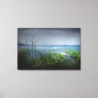 Camel Rock Canvas Print