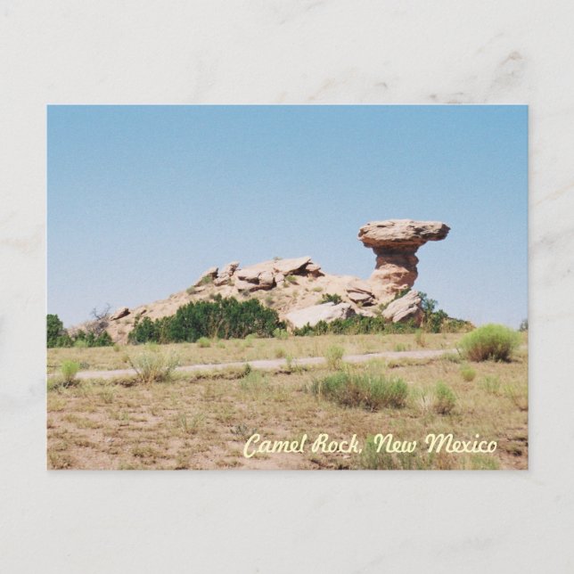 Camel Rock, New Mexico Postcard (Front)