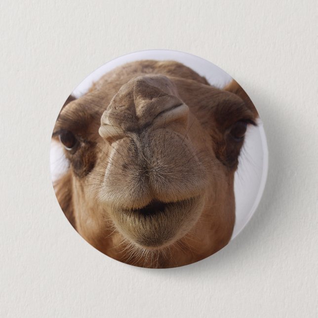Camel Round Pin (Front)