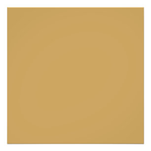 Camel- shade of brown (solid colour) photo print