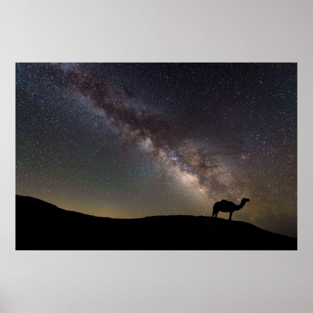Camel Silhouette and Milkyway Poster (Front)
