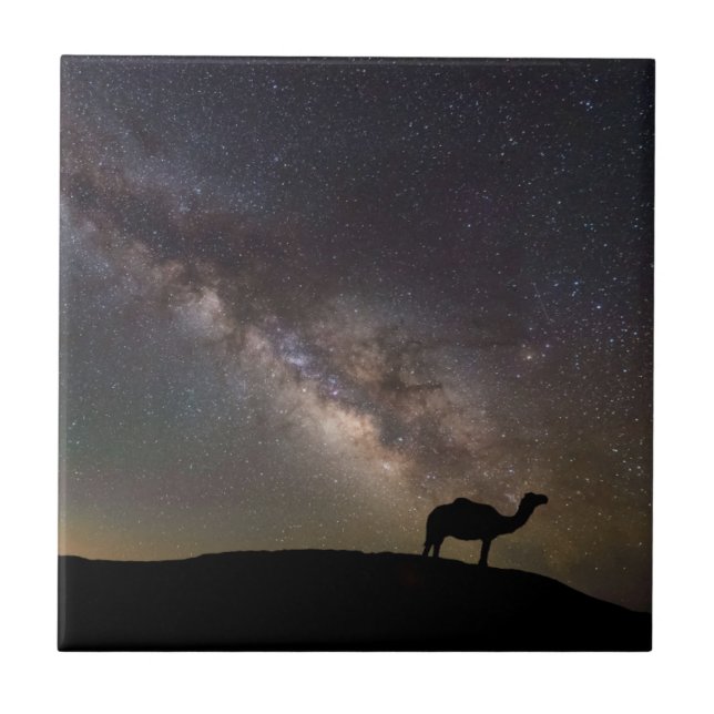 Camel Silhouette and Milkyway Tile (Front)