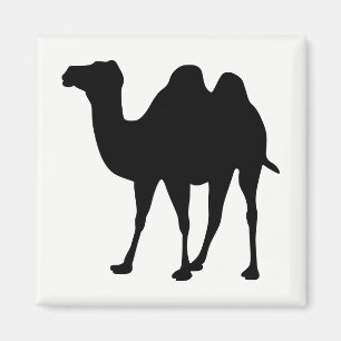 Camel Silhouette Magnet