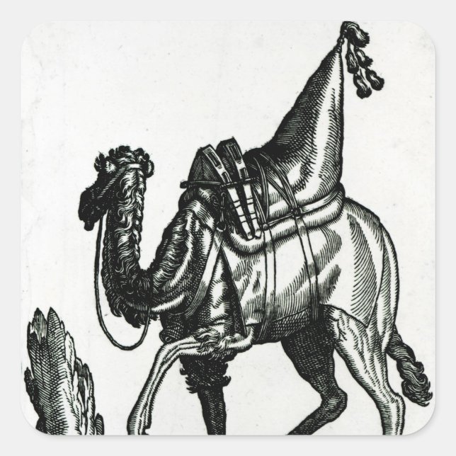 Camel Square Sticker (Front)