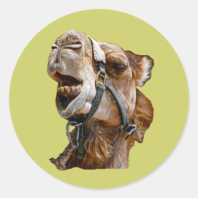 Camel Stickers (Front)