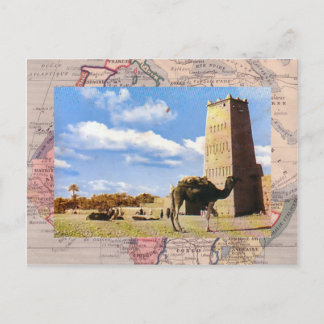 Camel stop in the desert postcard