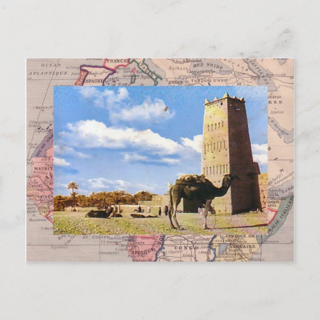 Camel stop in the desert postcard (Front)