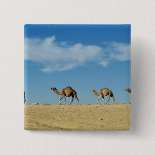 Camel train 15 cm square badge